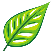 Zamia