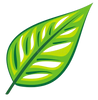 Tea TREE icon